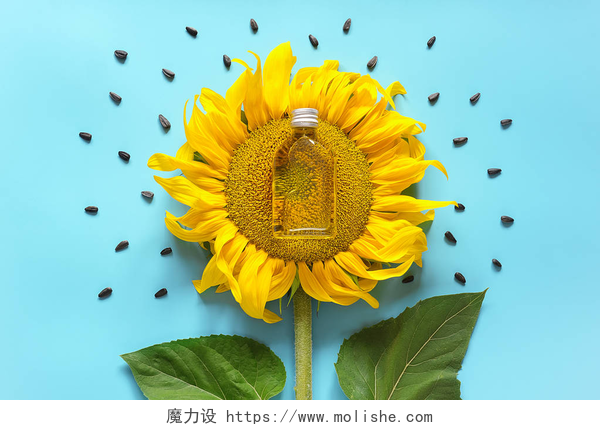 瓶天然葵花籽油瓶天然葵花籽油，种子和新鲜的黄色向日葵在蓝色背景。创意概念有机植物油生产，收获时间。顶视图， 平铺， 模板